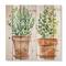 Designart - Two Green House Plants In Orange Flower Pots - Traditional Print on Natural Pine Wood